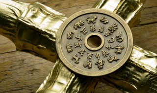 什么属相不能养富贵竹的人 富贵竹大忌属相