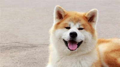 各个国家的国宝有哪些 全世界各国的国宝你知道多少