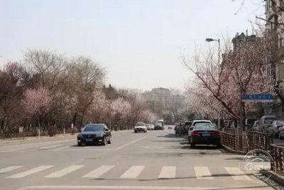 长春话大回小回什么意思 东北开车时什么是大回和小回