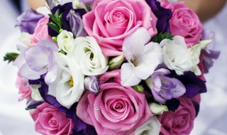 妈妈生病适合送什么花束 适合探病送妈妈的花介绍