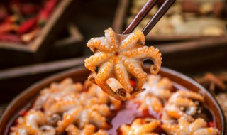 凉拌章鱼的做法和步骤 凉拌章鱼怎么做才好吃