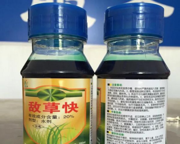 玉米播种后能打敌草快吗