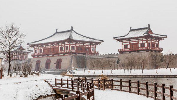 河南科技大学是一本吗