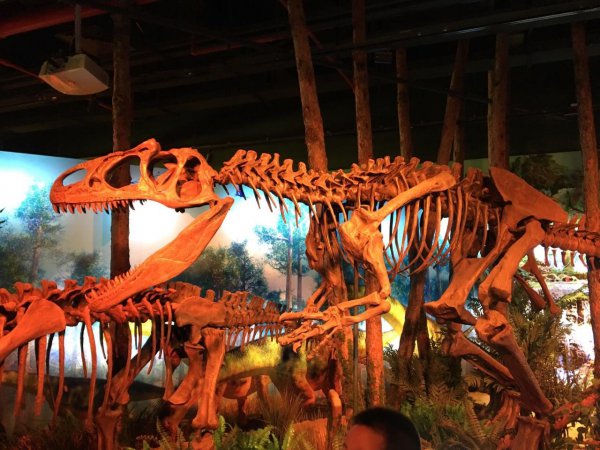 广州适合小孩玩的地方有哪些