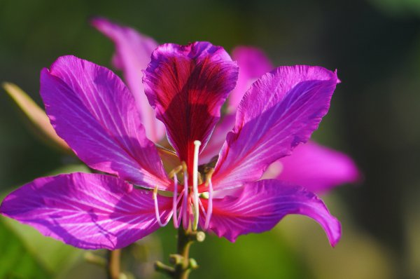 广州适合小孩玩的地方有哪些