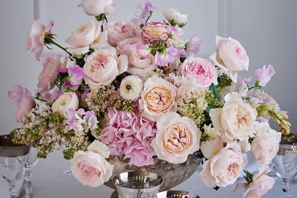 切花月季有哪些好品种