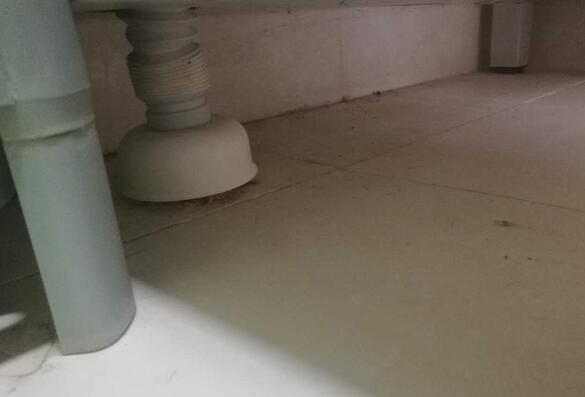 洗手池反臭味解决办法