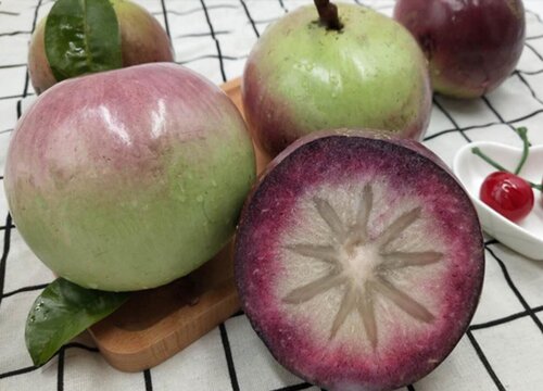 云南适合种植什么水果