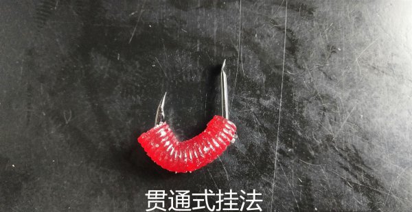 蚯蚓钓鱼怎么挂钩