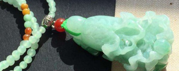 招财白菜摆放禁忌