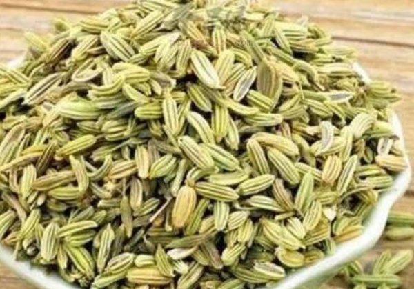 阿魏钓鱼配方制作方法