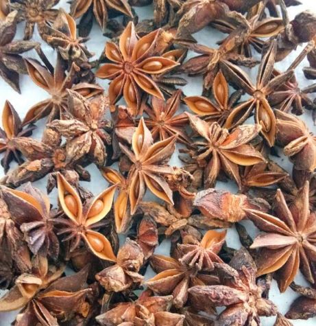 阿魏钓鱼配方制作方法