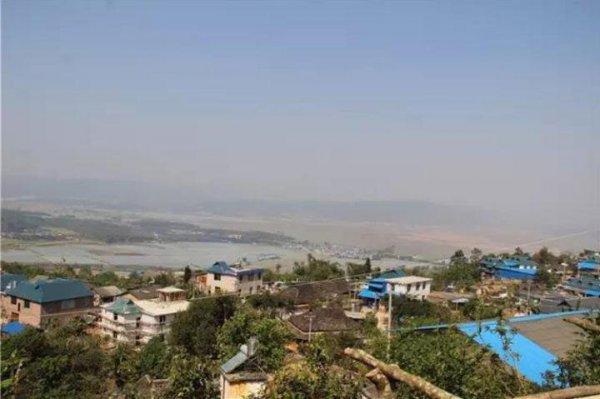 广别老寨古树茶口感特点与口感