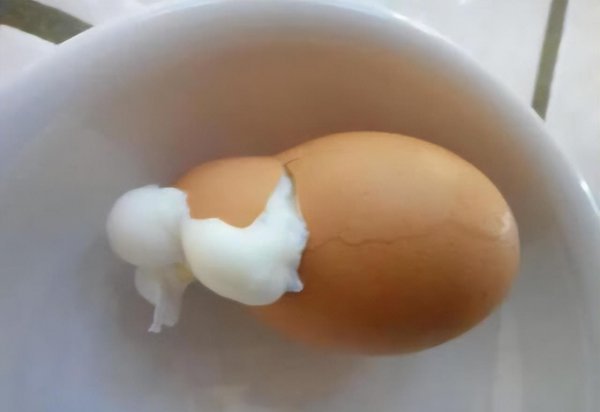鸡蛋皮难剥是什么原因造成的