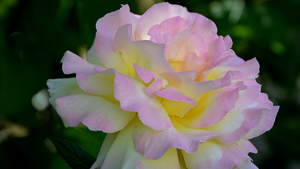 哪个星座敢惹天蝎座