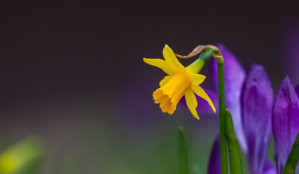 哪个星座敢惹天蝎座