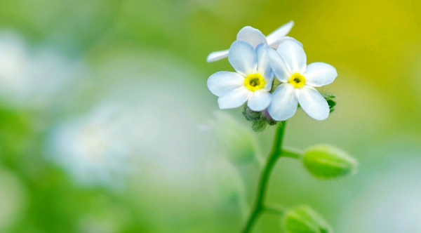 哪个星座敢惹天蝎座