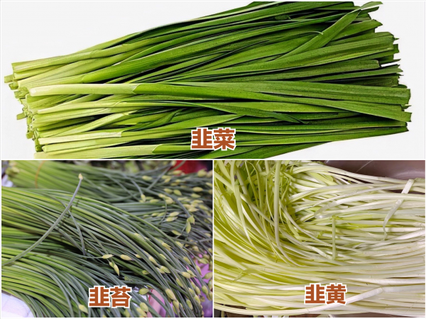 韭黄是韭菜吗有什么区别