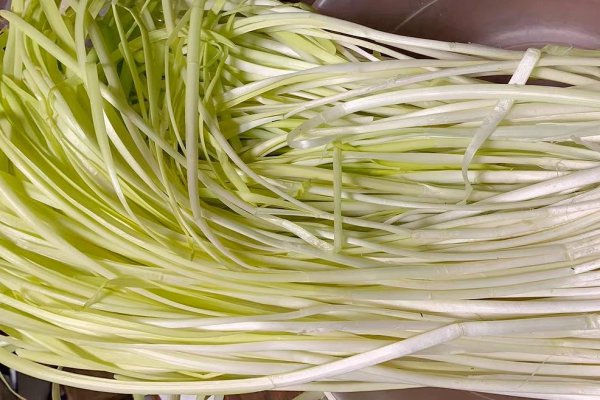 韭黄是韭菜吗有什么区别