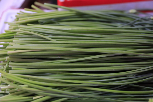 韭黄是韭菜吗有什么区别