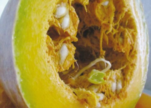 切开的南瓜可以放冷冻保存吗