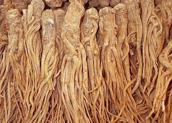 亩效益过万的一年生药材