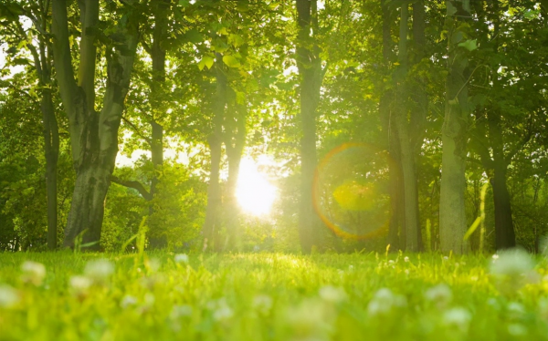 死要面子人的心理缺陷