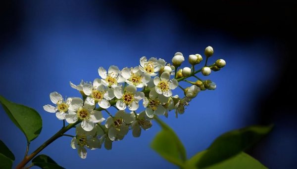 死要面子人的心理缺陷