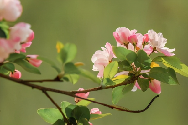 死要面子人的心理缺陷