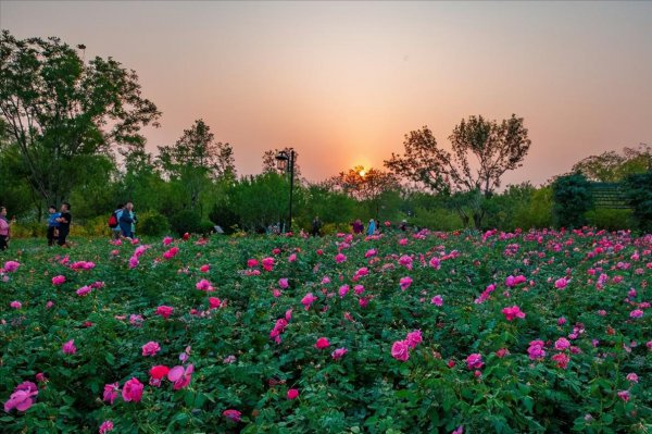 死要面子人的心理缺陷