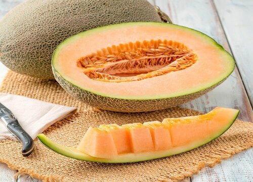 宠物狗狗可以吃哈密瓜吗