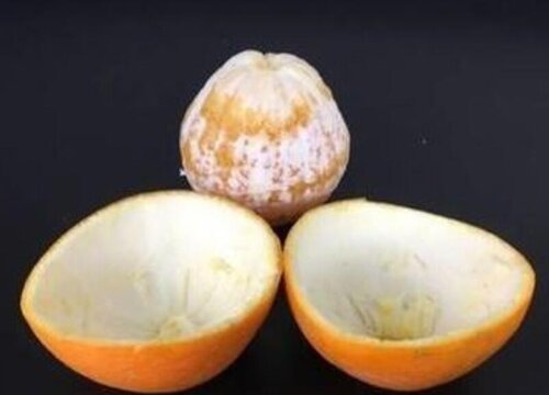 橙子皮怎么剥 又快又简单