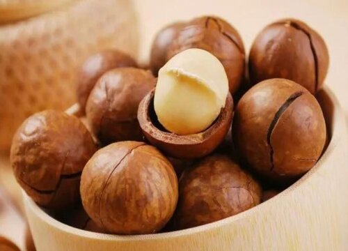 夏威夷果什么时候成熟