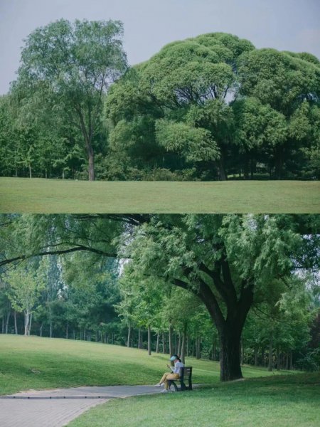 北京公园排名哪个最好玩