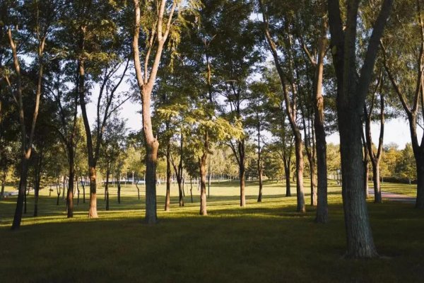 北京公园排名哪个最好玩