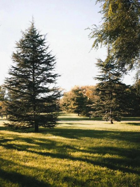 北京公园排名哪个最好玩