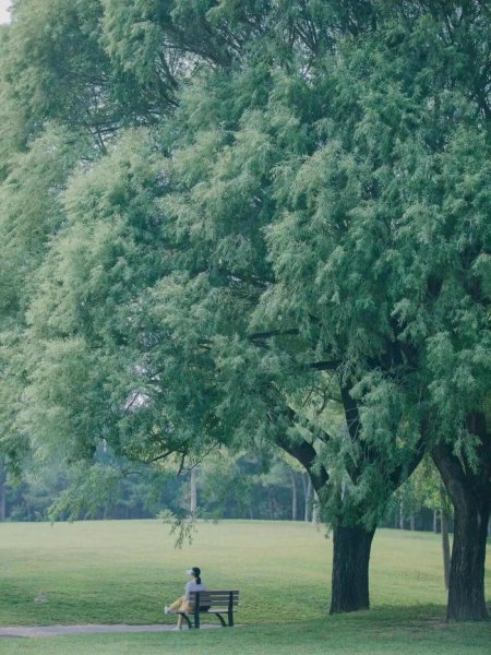 北京公园排名哪个最好玩