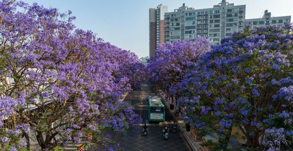 哈尔滨夏天热吗