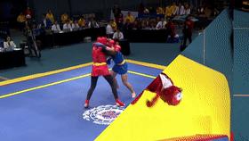 武术散打比赛中得两分的评判标准是什么