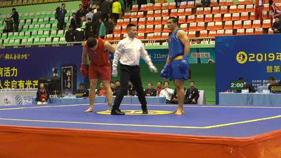 武术散打比赛中得两分的评判标准是什么