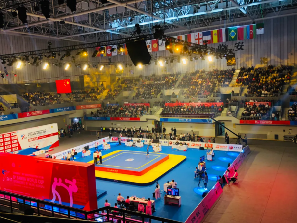 武术散打比赛中得两分的评判标准是什么