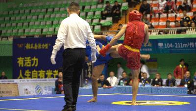 武术散打比赛中得两分的评判标准是什么