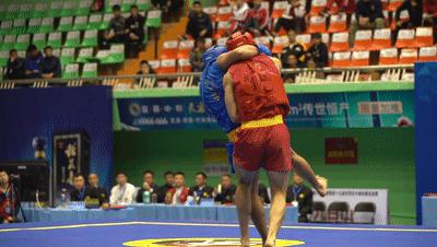 武术散打比赛中得两分的评判标准是什么