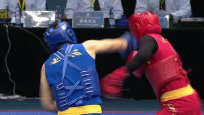 武术散打比赛中得两分的评判标准是什么