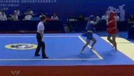 武术散打比赛中得两分的评判标准是什么