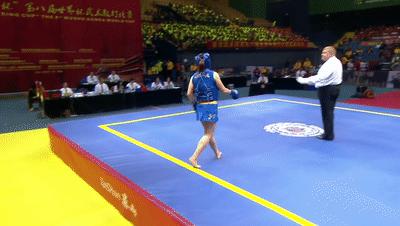 武术散打比赛中得两分的评判标准是什么