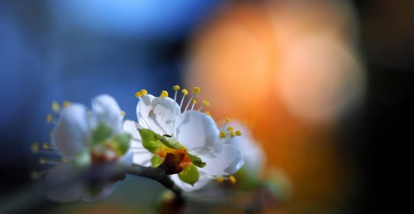 心机重是什么意思