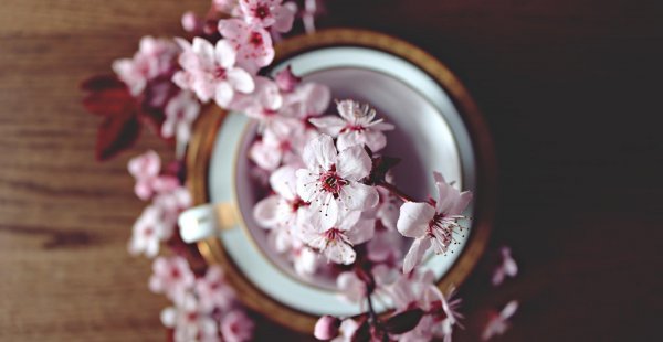 心机重是什么意思