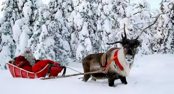 圣诞树顶上的那颗星星叫什么名字