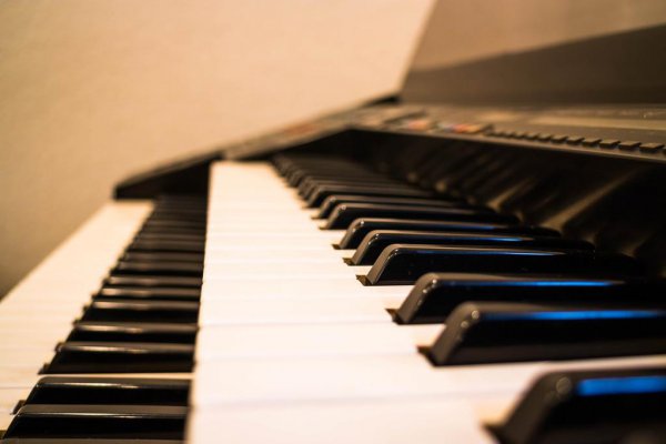 学习电子琴指法介绍